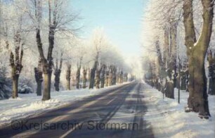 Allee: vierreihige Lindenallee: im Winter