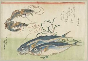 Steingarnelen und Makrelen, aus: "Große Serie mit Fischen"