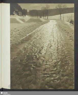 Ein gefrorener Weg