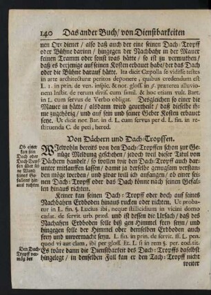 Von Dächern und Dach-Tropffen