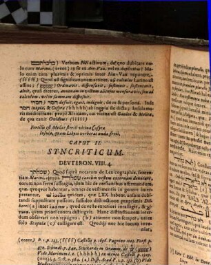 Vestimenta Israelitarum in deserto ex Deut. 8, 4. ...