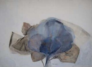 unbenannt [Blüte/Landschaft]