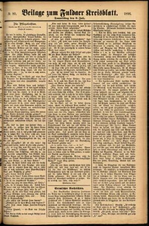 Zweite Ausgabe vom Donnerstag, den 09. Juli 1896.