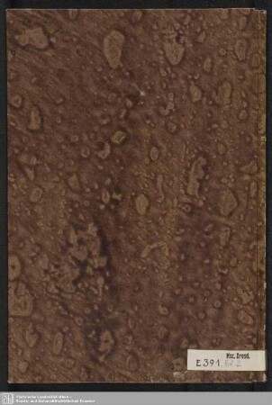 2: Orientalische Handschrift - Mscr.Dresd.Eb.391