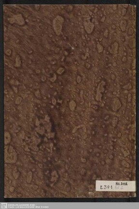 2: Orientalische Handschrift - Mscr.Dresd.Eb.391