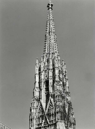 Der gotische Stephansdom in Wien