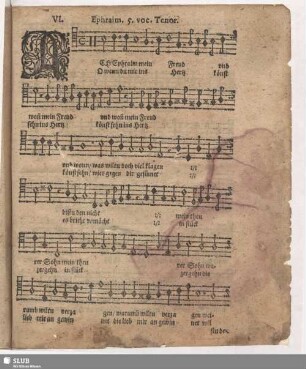 VI. Ach Ephraim