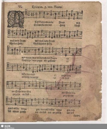 VI. Ach Ephraim