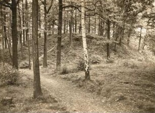 Sorbenschanze : Mittelsachsen. Sorbenschanze westlich von Ziegra. Wallseite von außen