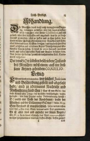 13 - 38, Abhandlung.