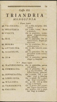 Classis III. Triandria