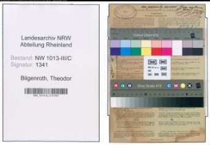 Entnazifizierung Theodor Bilgenroth , geb. 06.10.1895 (Kaufmann)
