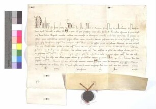 Papst Nikolaus IV. verbietet auf die Klage des Klosters Maulbronn die Angehörigen und das Eigentum dieses Klosters widerrechtlich anzugreifen und zu pfänden.