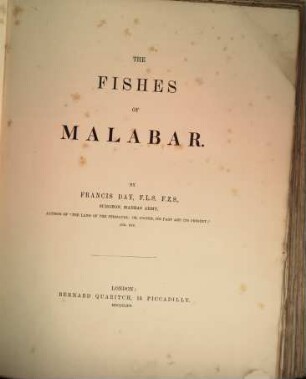 The Fishes of Malabar