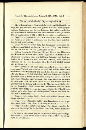 Ueber andalusische Cryptocephalus