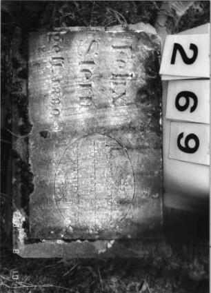 Grabstein 269