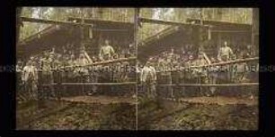 Soldaten vor einer Stellung im Wald, Vogesen