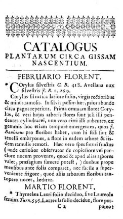 MARTIO FLORENT.