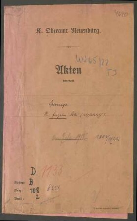 Hochverrat, Spionage: Einzelfälle