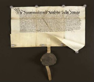 1586 Sept. 29. Stadtobligation auf 200 Thaler von der Gräfin Elisabeth zur Lippe.