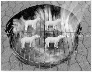 Vier Plastikschafe liegen auf einem Grill (Altersgruppe 18-21)