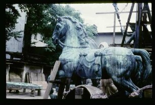 Quadriga-Pferde b. Noack 30.7.58.