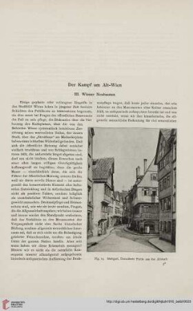 Der Kampf um Alt-Wien, III : Wiener Neubauten