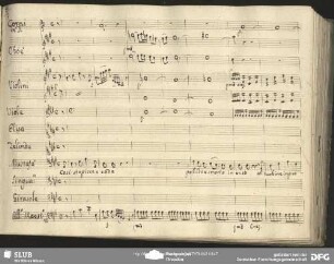 Quintetto: "Così stupisce e cade"
