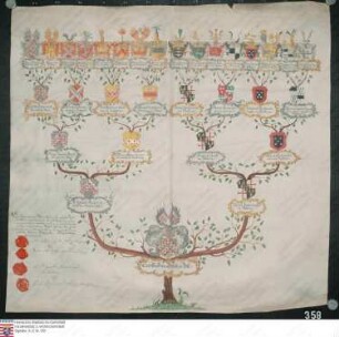 Ahnenprobe des Carl v. Schell z. Bell. - ausgefertigt 1772 September 16, Pergament