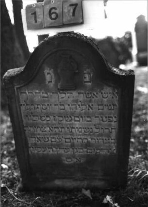Grabstein 167 (Index: 99795694) Maße HxBxT: 84x57x11 cm Symbolik: (Leviten)Kanne: Grabstein 167