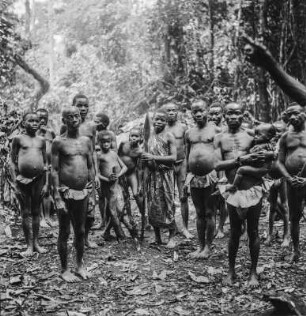 Gruppenportrait : Portrait von Männern und Jungen im Regenwald