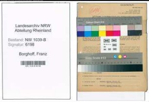 Entnazifizierung Franz Borghoff , geb. 07.05.1895 (Vertreter)