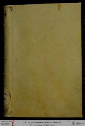 Andachtsbuch (Psalmbetrachtungen) - Cod. Pal. germ. 624