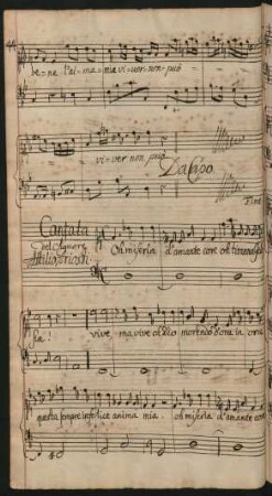 Oh miseria d'amante core; S, b.fig; d-Moll