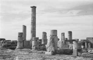 Reisefotos Libyen. Kyrene, antike griechische Stadt. Säulen
