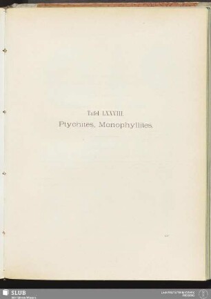 Tafel LXXVIII. Ptychites, Monophyllites