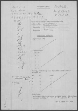 Waldtann: Pfarrbericht 1965