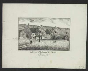 Ansicht von Pirna - Gute Hoffnung, Lithographie, um 1840? : Die gute Hoffnung bei Pirna. - [S.l.] , [um 1840?]. - 1 Kunstbl. : Lithographie ; 16 x 10 cm