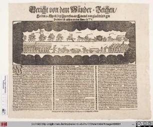 Bericht von dem Wunder-Zeichen/ So den 10. Aprill. bey Zwenckau am Himmel von glaubwürdigen Personen ist gesehen worden Anno 1678.