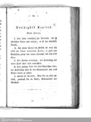 Dreißigstes Kapitel. Vom Zorne