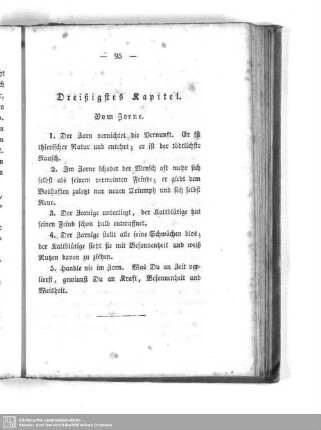 Dreißigstes Kapitel. Vom Zorne