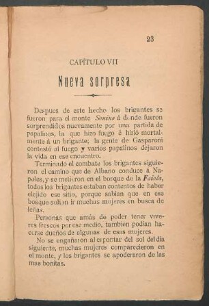 Capítulo VII - Nueva sorpresa