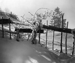 Winterbilder. Allgäu. Gartentor im Schnee