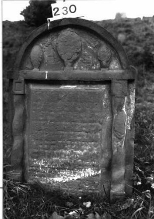Grabstein 230