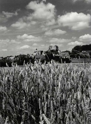 Blick auf Hipoltstein mit Burg
