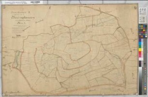 Beringhausen (Marsberg), Separation von Beringhausen, Bl.1 Brouillonkarte II Flur 1