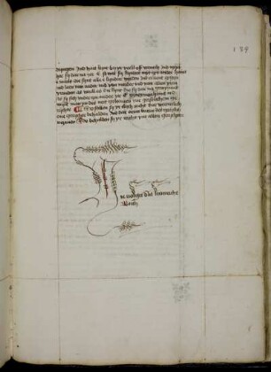 Schwäbisches Lehnrecht (in 152 Artikeln)