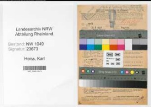 Entnazifizierung Karl Heiss , geb. 31.05.1895 (Versicherungsangestellter)