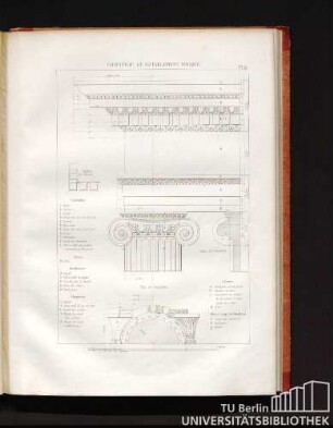 Chapiteau et entablement ionique. Pl. 19.