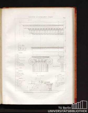 Chapiteau et entablement ionique. Pl. 19.